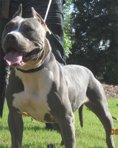 lilah-1
