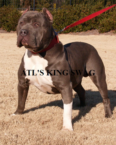 2swag13months06