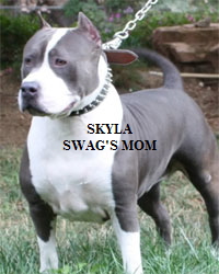 a_NEWskyla3