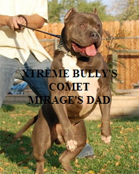 comet000103