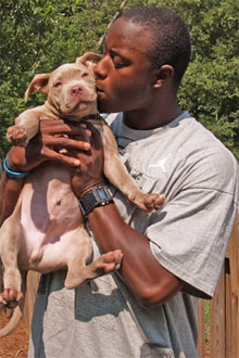 QB DJ Shockley with his ATL pitbull puppy