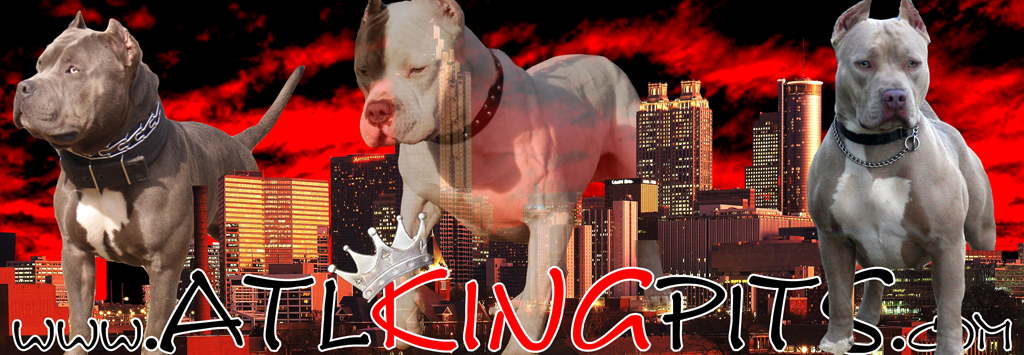 banner_skyline_3pits03